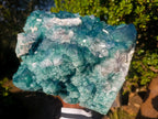 Natural XL Green Cubic Fluorite Specimen x 1 From Mandrosonoro, Madagascar - Toprock Gemstones and Minerals 