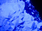 Natural XL Green Cubic Fluorite Specimen x 1 From Mandrosonoro, Madagascar - Toprock Gemstones and Minerals 