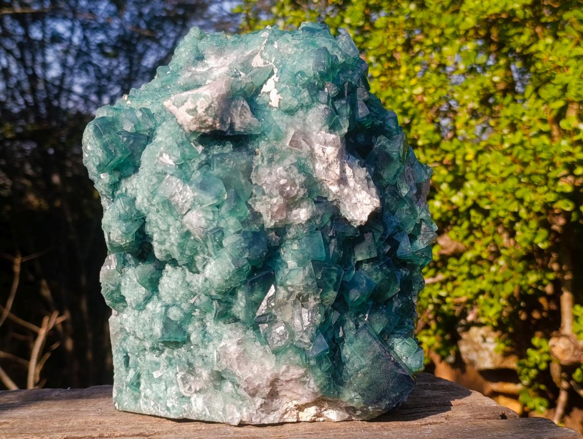 Natural XL Green Cubic Fluorite Specimen x 1 From Mandrosonoro, Madagascar - Toprock Gemstones and Minerals 