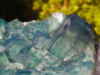 Natural XL Green Cubic Fluorite Specimen x 1 From Mandrosonoro, Madagascar - Toprock Gemstones and Minerals 