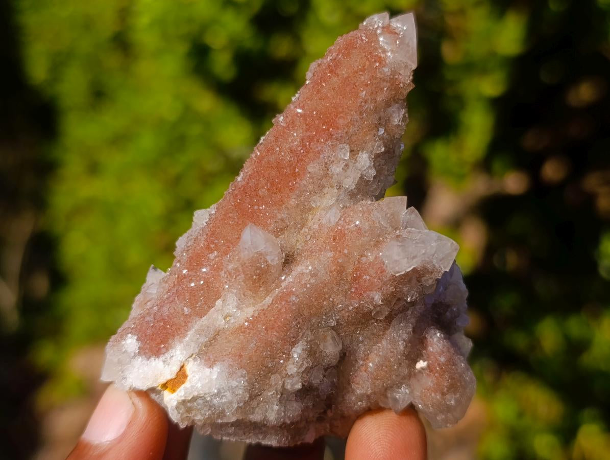 Natural Drusy Fairy Spirit Quartz Clusters x 24 From Boekenhouthoek, South Africa - Toprock Gemstones and Minerals 