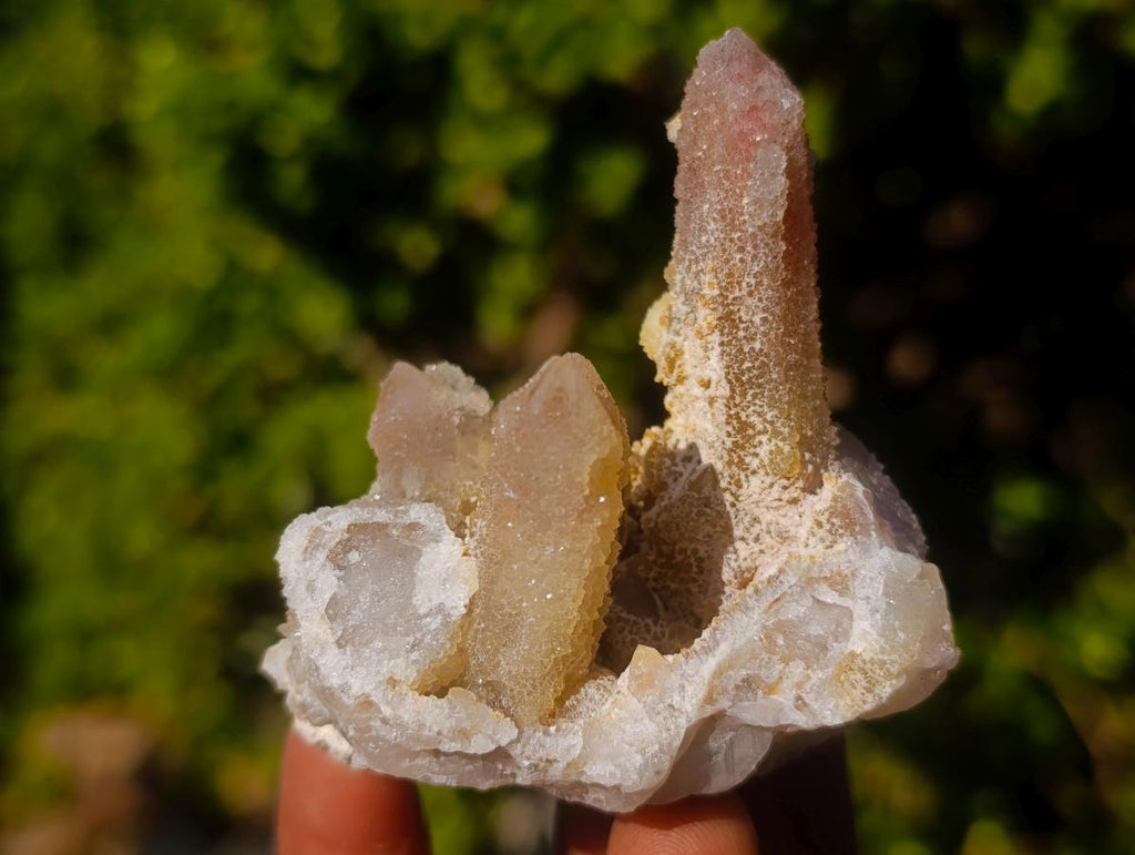 Natural Drusy Fairy Spirit Quartz Clusters x 24 From Boekenhouthoek, South Africa - Toprock Gemstones and Minerals 