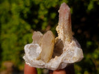 Natural Drusy Fairy Spirit Quartz Clusters x 24 From Boekenhouthoek, South Africa - Toprock Gemstones and Minerals 