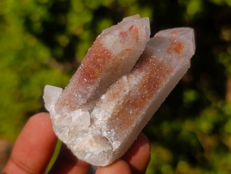 Natural Drusy Fairy Spirit Quartz Clusters x 24 From Boekenhouthoek, South Africa - Toprock Gemstones and Minerals 
