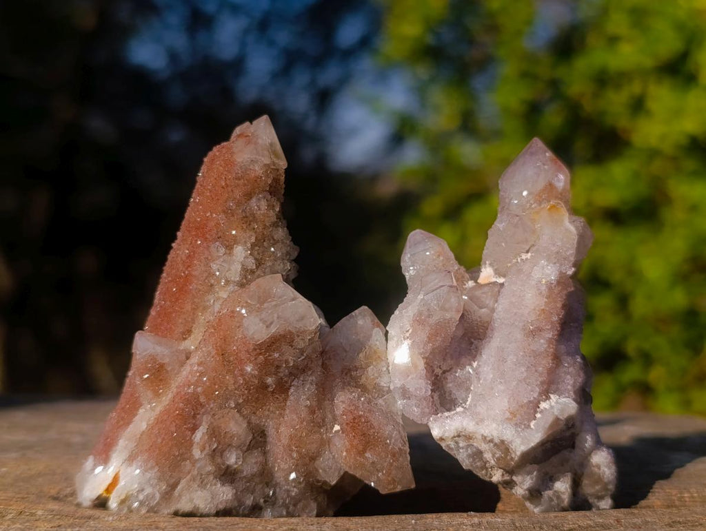Natural Drusy Fairy Spirit Quartz Clusters x 24 From Boekenhouthoek, South Africa - Toprock Gemstones and Minerals 