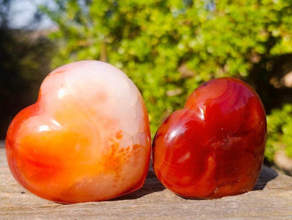 Polished Carnelian Agate Gemstone Hearts x 12 From Madagascar - Toprock Gemstones and Minerals 