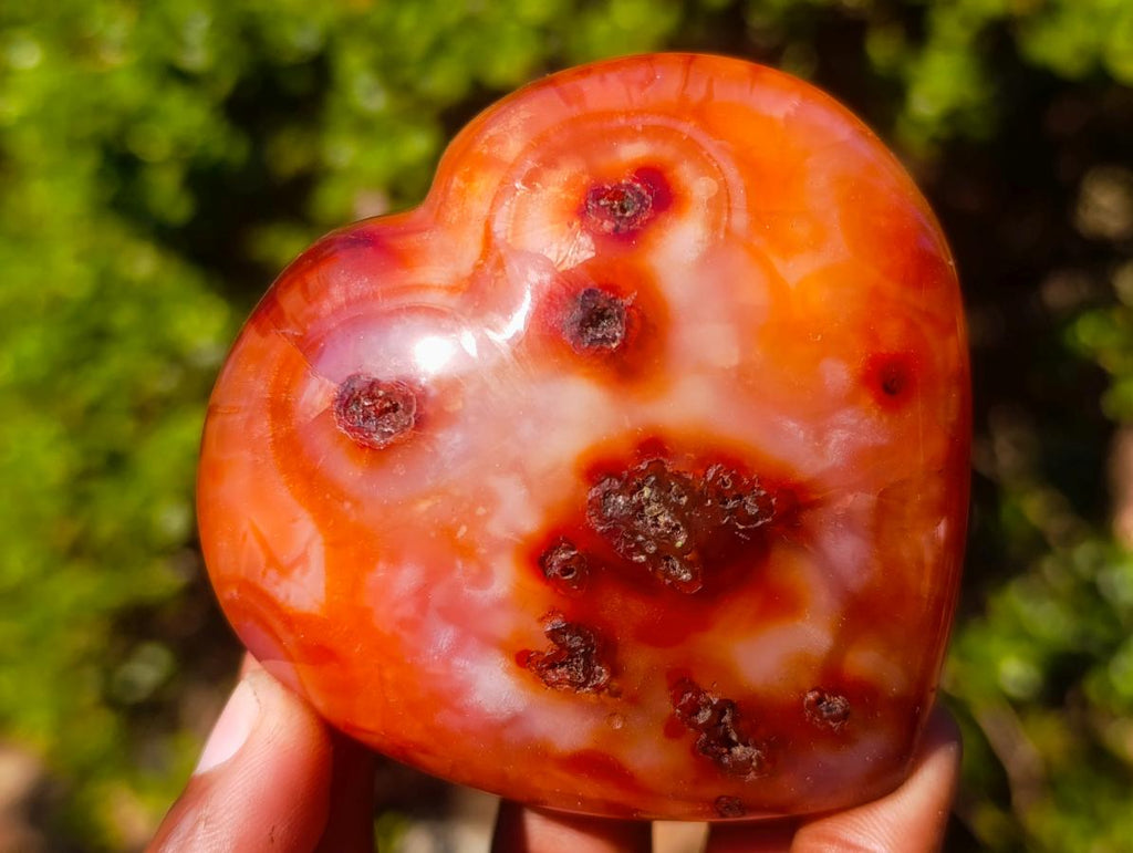 Polished Carnelian Agate Gemstone Hearts x 12 From Madagascar - Toprock Gemstones and Minerals 