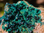 Natural Crystalline Malachite Specimens x 12 From Tenke Fungurume, Congo - Toprock Gemstones and Minerals 