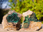 Natural Crystalline Malachite Specimens x 12 From Tenke Fungurume, Congo - Toprock Gemstones and Minerals 