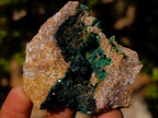 Natural Crystalline Malachite Specimens x 12 From Tenke Fungurume, Congo - Toprock Gemstones and Minerals 