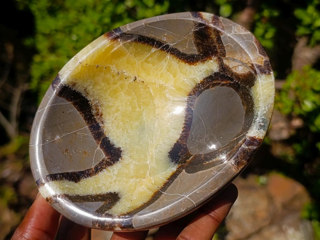 Polished Septerye Bowls x 2 From Mahajanga, Madagascar - Toprock Gemstones and Minerals 