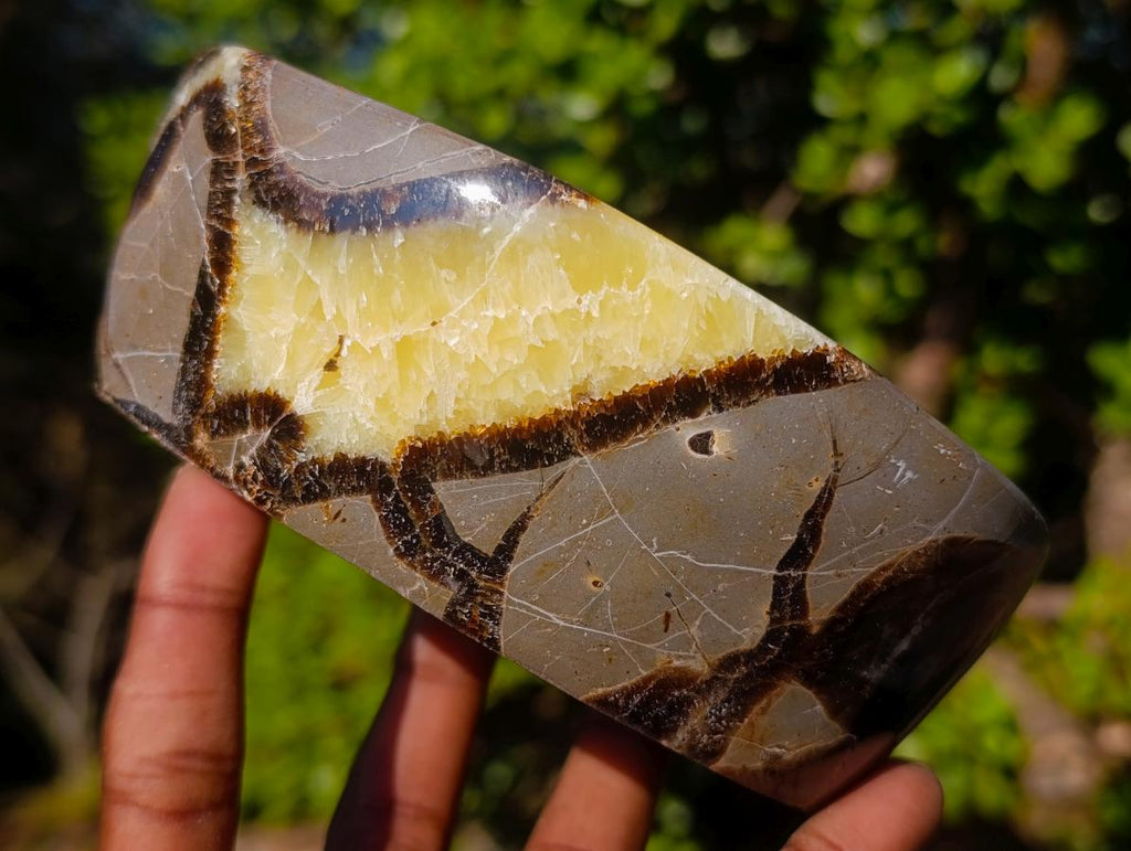 Polished Septerye Bowls x 2 From Mahajanga, Madagascar - Toprock Gemstones and Minerals 