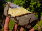 Polished Septerye Bowls x 2 From Mahajanga, Madagascar - Toprock Gemstones and Minerals 