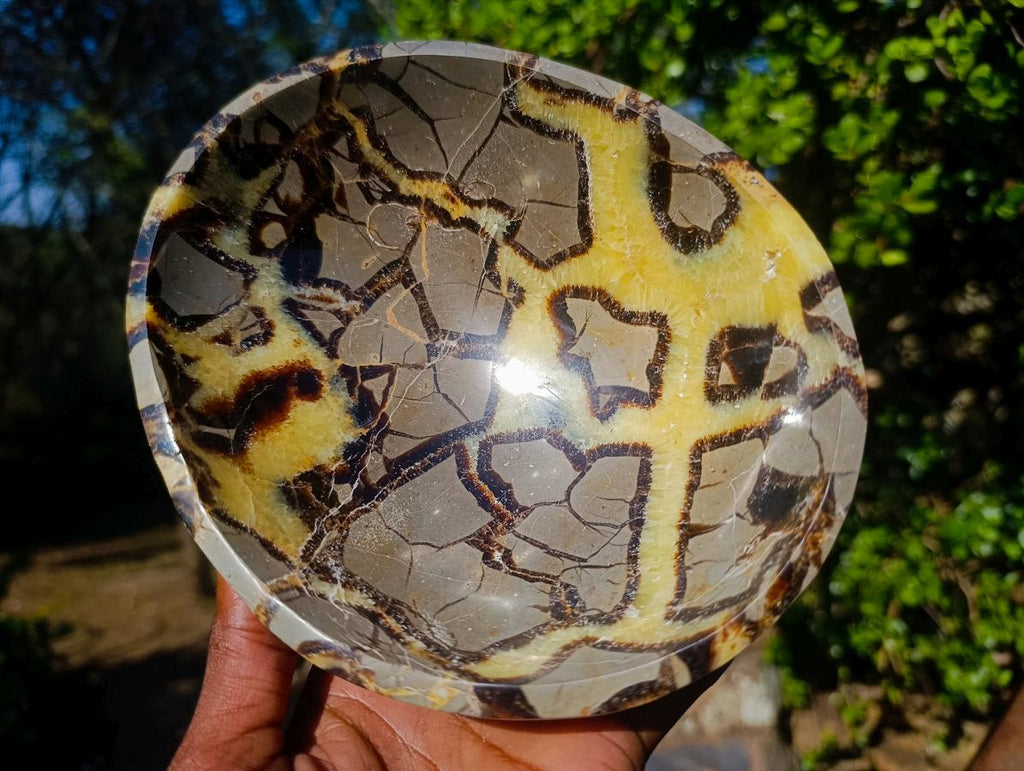 Polished Septerye Bowls x 2 From Mahajanga, Madagascar - Toprock Gemstones and Minerals 