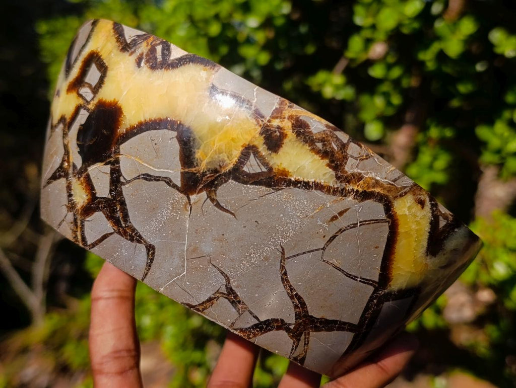 Polished Septerye Bowls x 2 From Mahajanga, Madagascar - Toprock Gemstones and Minerals 