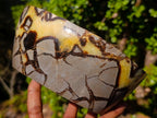 Polished Septerye Bowls x 2 From Mahajanga, Madagascar - Toprock Gemstones and Minerals 