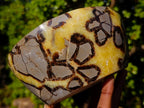 Polished Septerye Bowls x 2 From Mahajanga, Madagascar - Toprock Gemstones and Minerals 