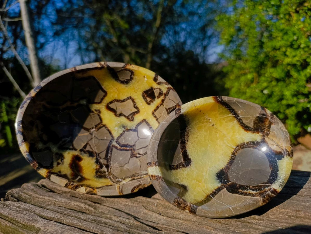 Polished Septerye Bowls x 2 From Mahajanga, Madagascar - Toprock Gemstones and Minerals 