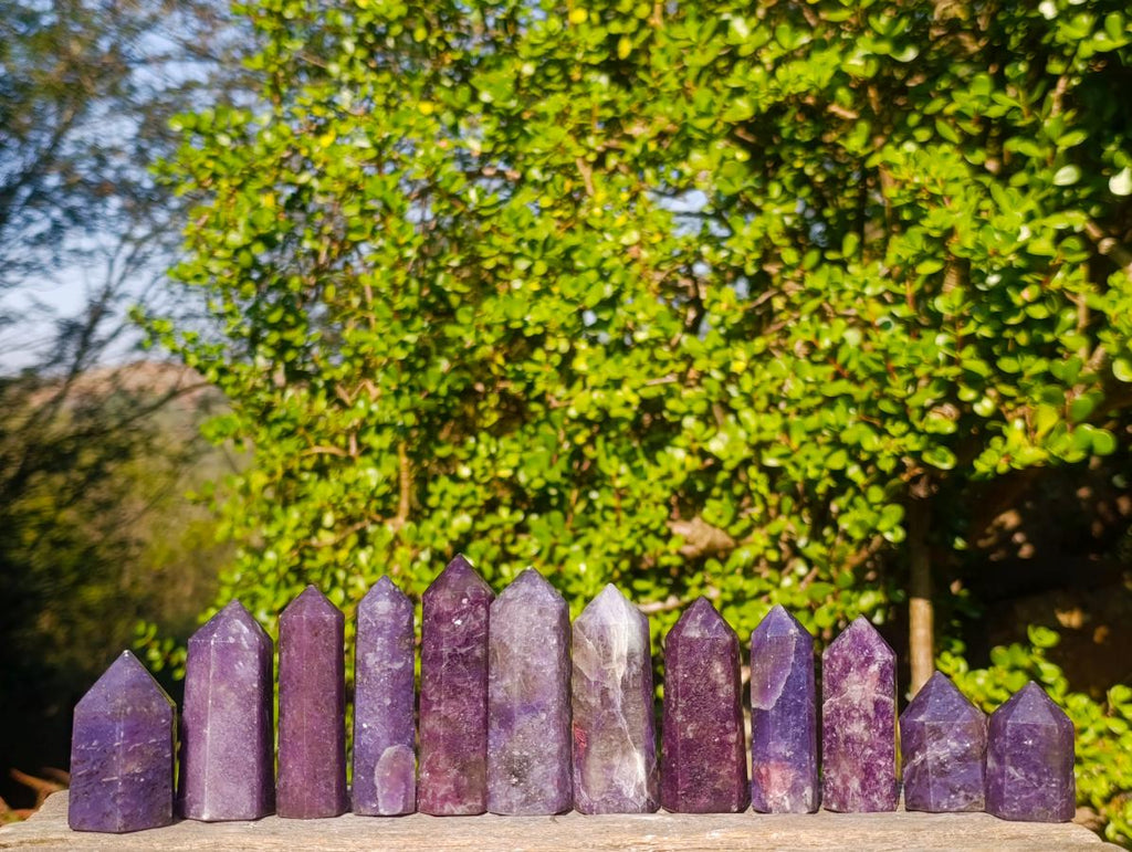 Polished Lepidolite with Pink Rubellite Tourmaline Display Crystals x 12 From Ambatondrazaka, Madagascar - Toprock Gemstones and Minerals 