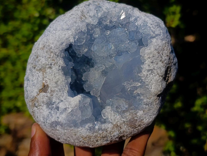Natural Blue Celestite Geode and Specimen x 2 From Sakoany, Madagascar - Toprock Gemstones and Minerals 