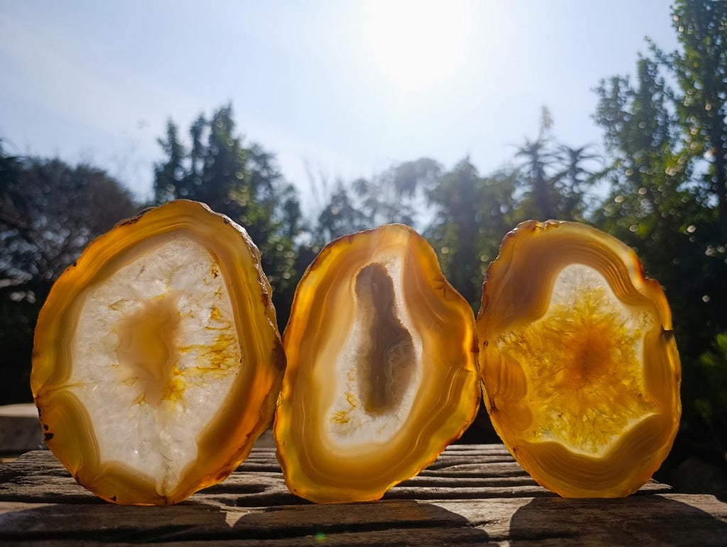 Polished Banded Agate Slices x 6 From Madagascar - Toprock Gemstones and Minerals 