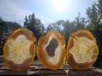 Polished Banded Agate Slices x 6 From Madagascar - Toprock Gemstones and Minerals 