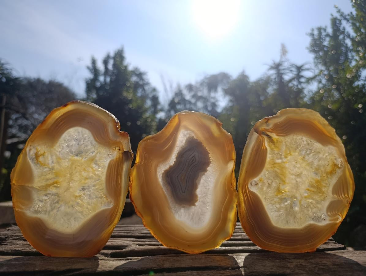 Polished Banded Agate Slices x 6 From Madagascar - Toprock Gemstones and Minerals 