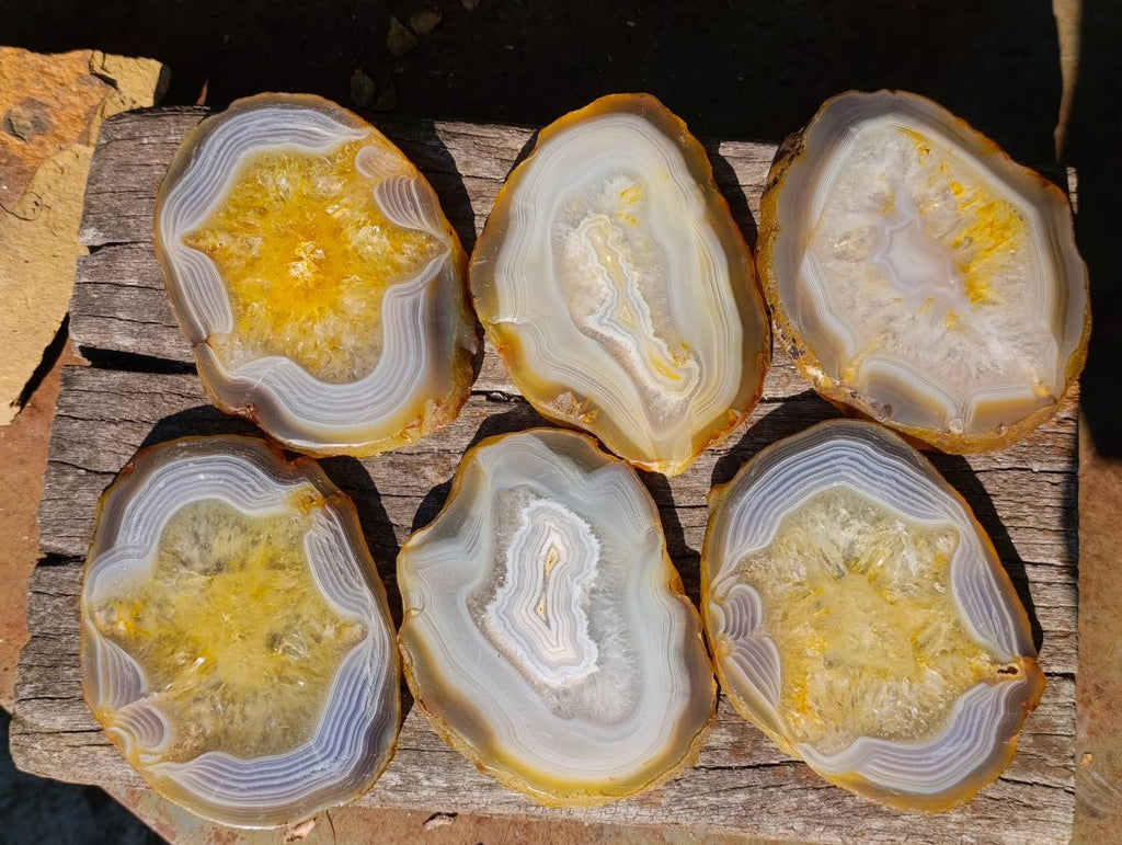 Polished Banded Agate Slices x 6 From Madagascar - Toprock Gemstones and Minerals 