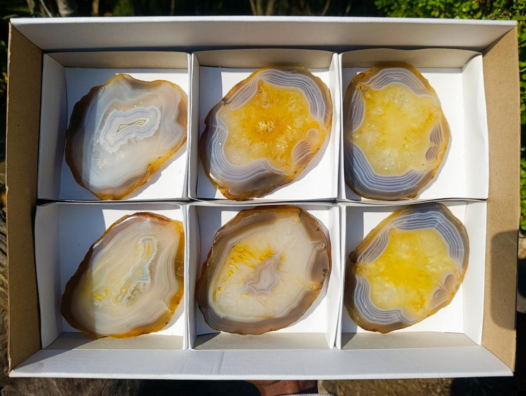 Polished Banded Agate Slices x 6 From Madagascar - Toprock Gemstones and Minerals 