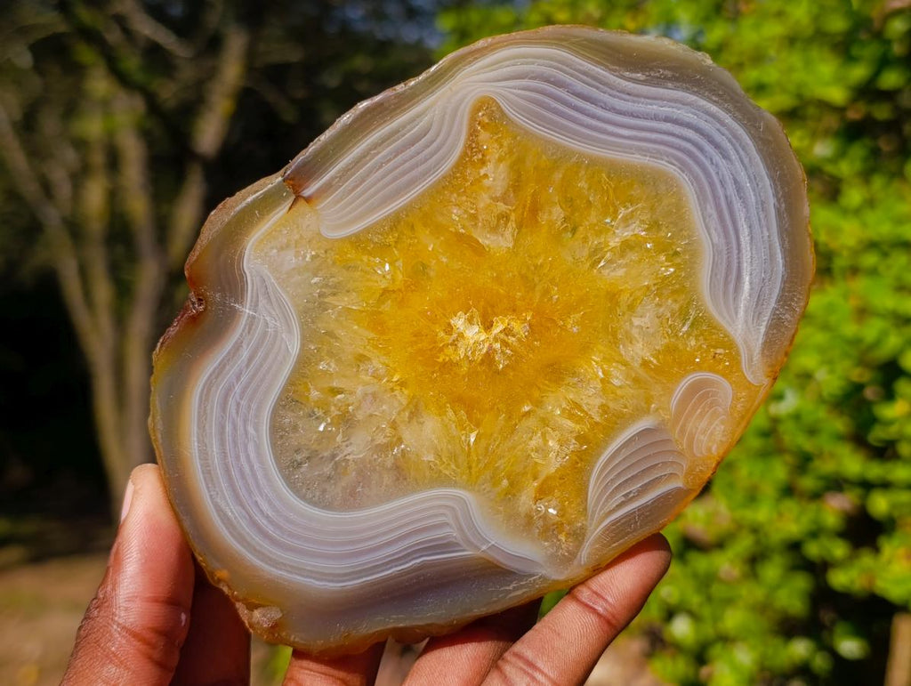 Polished Banded Agate Slices x 6 From Madagascar - Toprock Gemstones and Minerals 