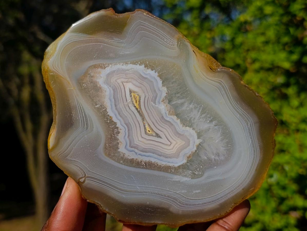 Polished Banded Agate Slices x 6 From Madagascar - Toprock Gemstones and Minerals 