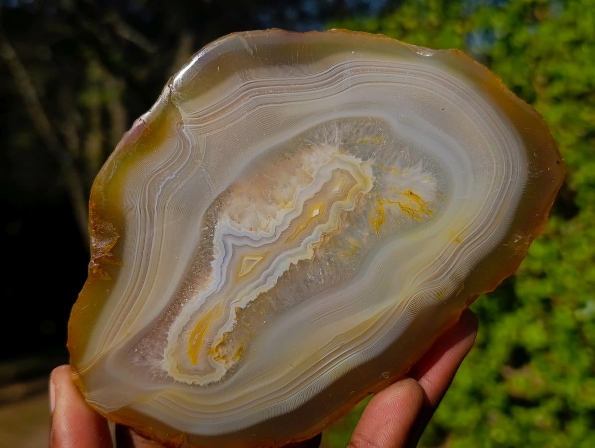 Polished Banded Agate Slices x 6 From Madagascar - Toprock Gemstones and Minerals 