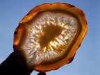 Polished Banded Agate Slices x 6 From Madagascar - Toprock Gemstones and Minerals 