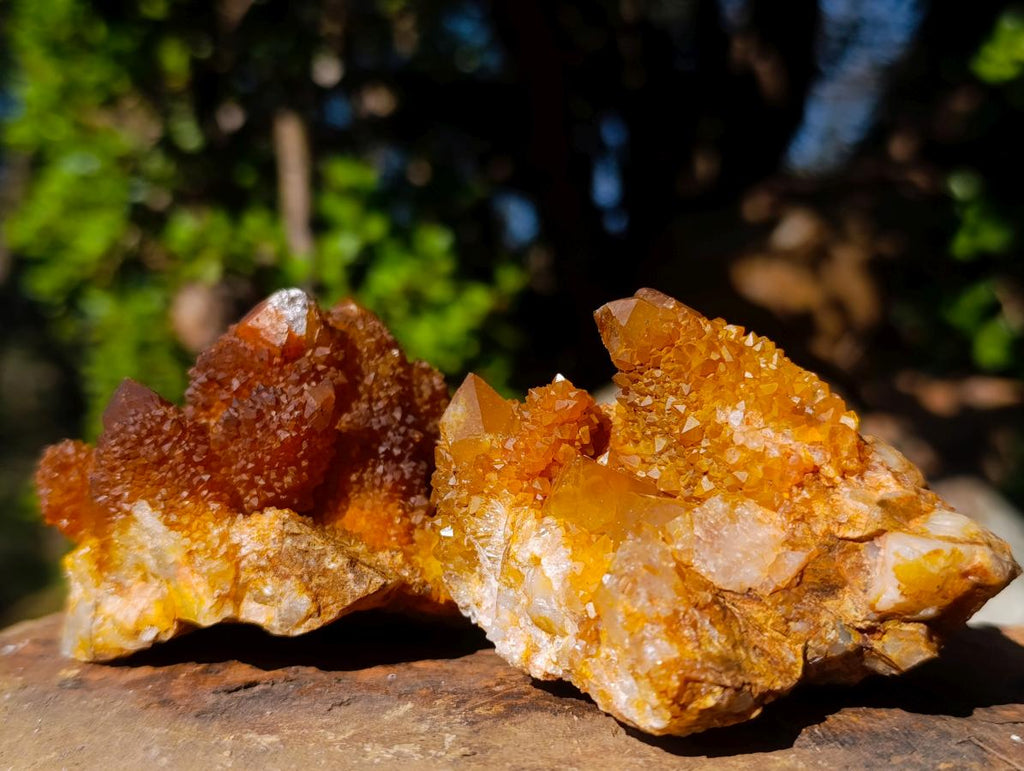 Natural Solar Spirit Quartz Clusters x 12 From Boekenhouthoek, South Africa - Toprock Gemstones and Minerals 
