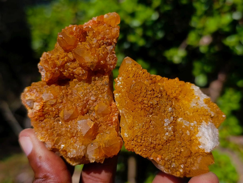 Natural Solar Spirit Quartz Clusters x 12 From Boekenhouthoek, South Africa - Toprock Gemstones and Minerals 