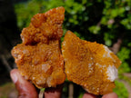 Natural Solar Spirit Quartz Clusters x 12 From Boekenhouthoek, South Africa - Toprock Gemstones and Minerals 