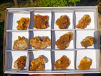 Natural Solar Spirit Quartz Clusters x 12 From Boekenhouthoek, South Africa - Toprock Gemstones and Minerals 