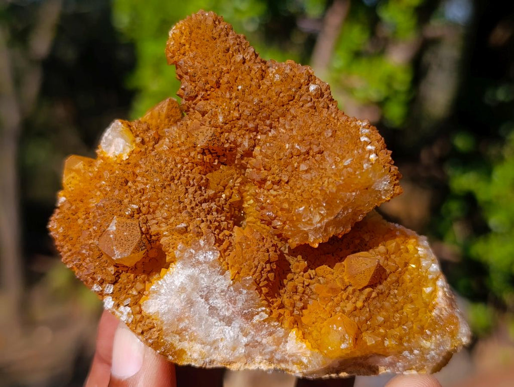 Natural Solar Spirit Quartz Clusters x 12 From Boekenhouthoek, South Africa - Toprock Gemstones and Minerals 