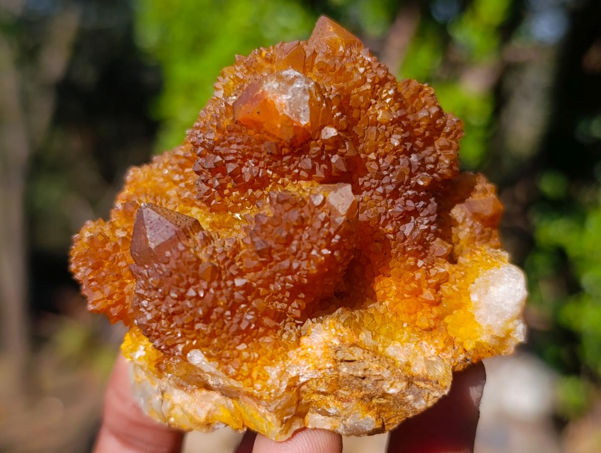 Natural Solar Spirit Quartz Clusters x 12 From Boekenhouthoek, South Africa - Toprock Gemstones and Minerals 