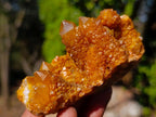 Natural Solar Spirit Quartz Clusters x 12 From Boekenhouthoek, South Africa - Toprock Gemstones and Minerals 