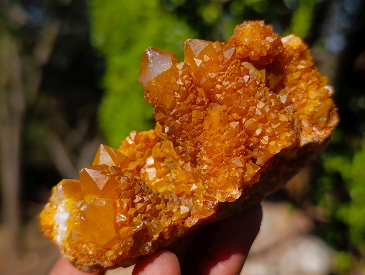 Natural Solar Spirit Quartz Clusters x 12 From Boekenhouthoek, South Africa - Toprock Gemstones and Minerals 