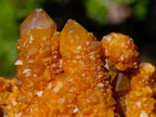 Natural Solar Spirit Quartz Clusters x 12 From Boekenhouthoek, South Africa - Toprock Gemstones and Minerals 