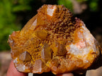 Natural Solar Spirit Quartz Clusters x 12 From Boekenhouthoek, South Africa - Toprock Gemstones and Minerals 