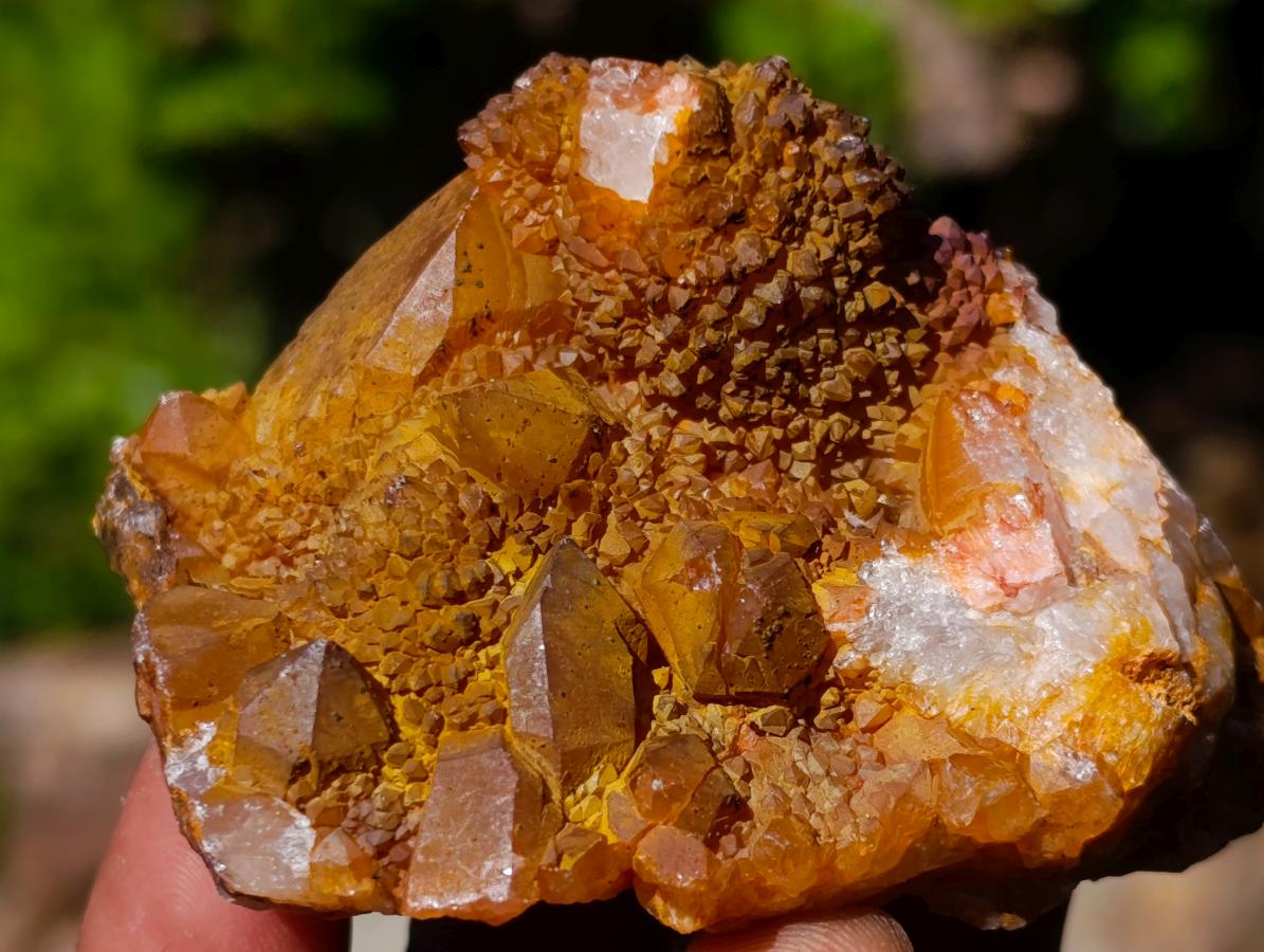 Natural Solar Spirit Quartz Clusters x 12 From Boekenhouthoek, South Africa - Toprock Gemstones and Minerals 