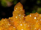 Natural Solar Spirit Quartz Clusters x 12 From Boekenhouthoek, South Africa - Toprock Gemstones and Minerals 