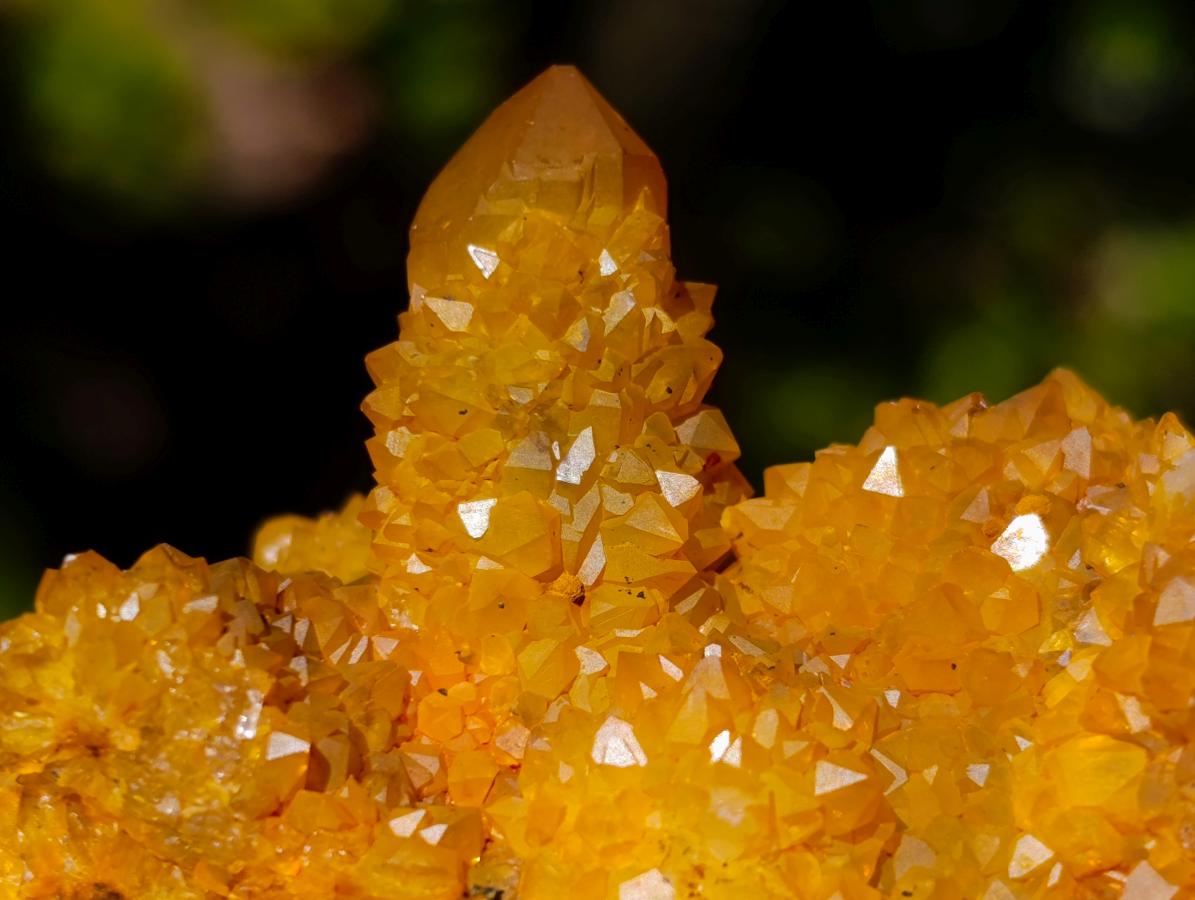 Natural Solar Spirit Quartz Clusters x 12 From Boekenhouthoek, South Africa - Toprock Gemstones and Minerals 