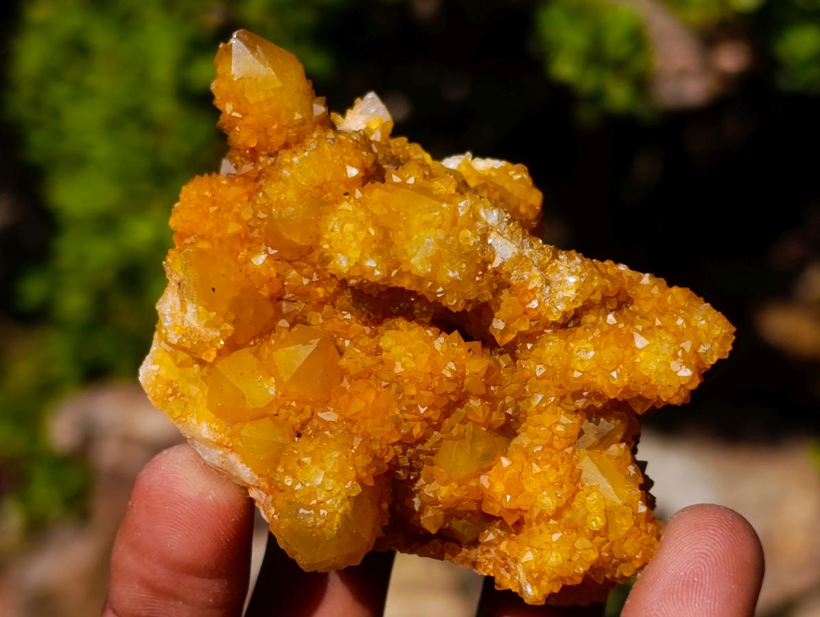 Natural Solar Spirit Quartz Clusters x 12 From Boekenhouthoek, South Africa - Toprock Gemstones and Minerals 