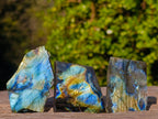 Polished One Side Labradorite Slices x 35 From Madagascar - Toprock Gemstones and Minerals 