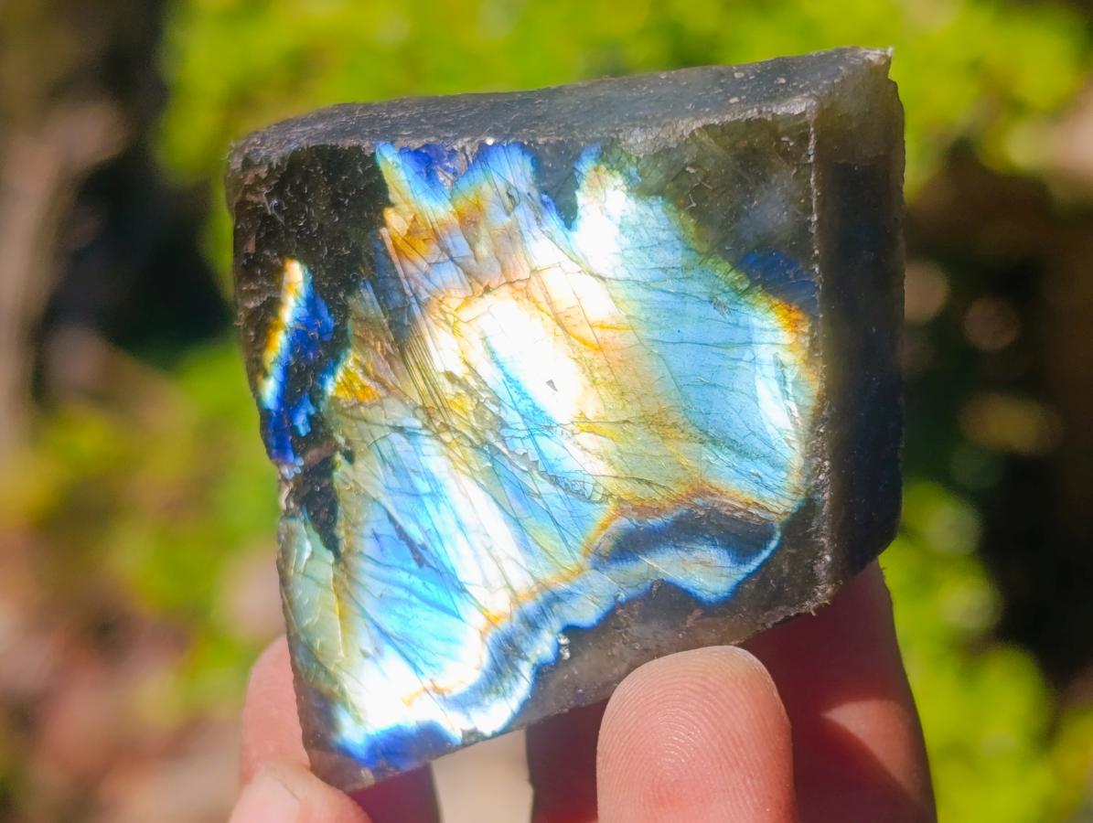 Polished One Side Labradorite Slices x 35 From Madagascar - Toprock Gemstones and Minerals 