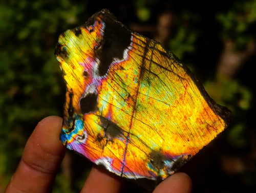 Polished One Side Labradorite Slices x 35 From Madagascar - Toprock Gemstones and Minerals 